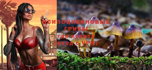 a pvp Беломорск