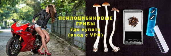 крисы Белоозёрский