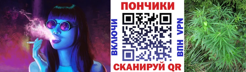 Каннабис план  где купить наркотик  Нарьян-Мар 